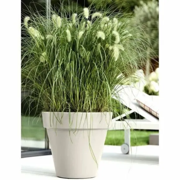 Plant pot Elho