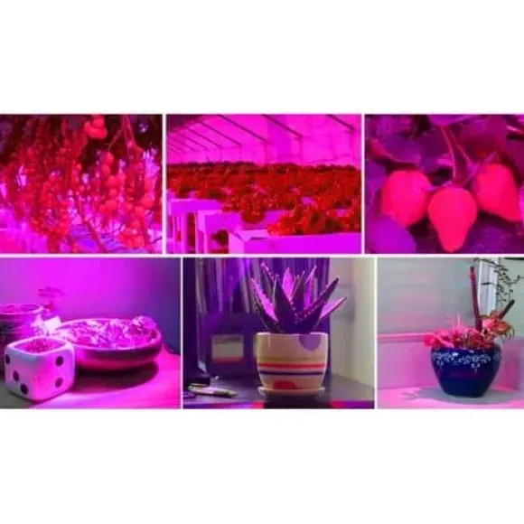 Plantebelysning 225 LED Panel | Dyrkningslampe for optimal planteudvikling