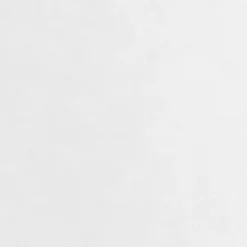 Plantebeskyttelse 2 ruller 70 g/m² - Slidstærk fleece | Størrelse: 10x1,6 m