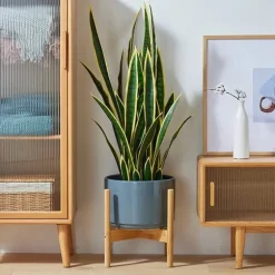 Plantebord, Bambusmateriale, Dimensioner 50cm x 30cm x 80cm, Vægtkapacitet 20kg pr. hylde, Indendørs og udendørs kompatibilitet