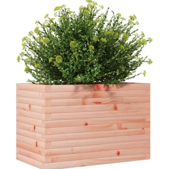 Plantekasse i massivt douglasgran - Stabil og dekorativ | Størrelse: 70x40x45,5 cm