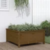 Plantekasse i massivt fyrretræ - Højbed til have & terrasse | Størrelse: 82,5x82,5x39 cm | Farve: Gyldenbrun