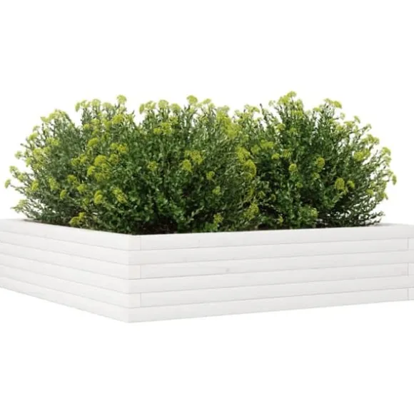Plantekasse i massivt fyrretræ - Dybde 100 cm | Farve: Hvid | Størrelse: 100x100x23 cm