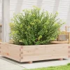 Plantekasse i massivt fyrretræ - 90x90x26,5 cm | Størrelse: 90x90x26,5 cm