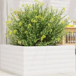 Plantekasse i massivt fyrretræ - Dybde: 50x50x23 cm | Farve: Hvid