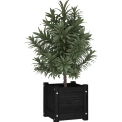 Plantekasse i massivt fyrretræ - Blomsterkasse | Størrelse: 31x31x31 cm | Farve: Sort