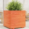 Plantekasse i massivt fyrretræ - Dekorativ til have og terrasse | Størrelse: 70x70x72 cm | Farve: Gyldenbrun