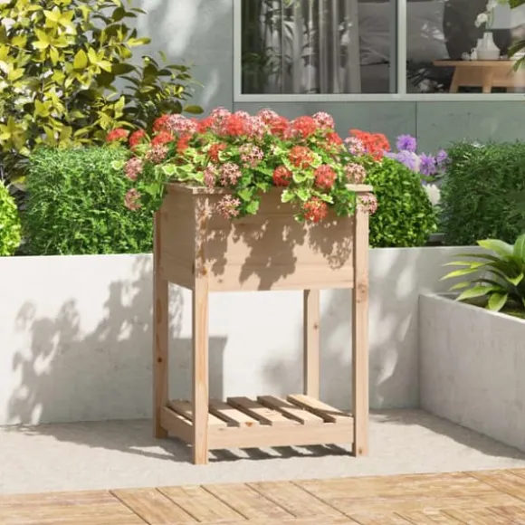 Plantekasse med hylde i massivt fyrretræ | Størrelse: 54x54x81 cm