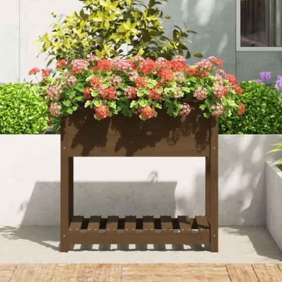 Plantekasse med hylde i massivt fyrretræ | Størrelse: 82,5x54x81 cm | Farve: Gyldenbrun
