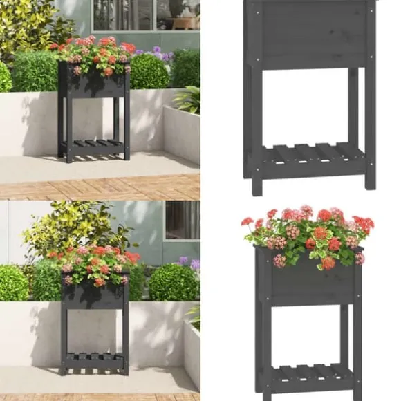 Plantekasse med hylde 54x34,5x81 cm massivt fyrretræ grå - Plantekasse - Plantekasser - Home & Living