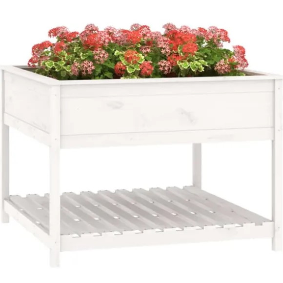 Plantekasse med hylde 111,5x111,5x81 cm massivt fyrretræ hvid - Plantekasse - Plantekasser - Home & Living
