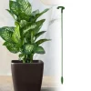 Plantestativ - Støtte til planter/blomster i jord - 37 cm
