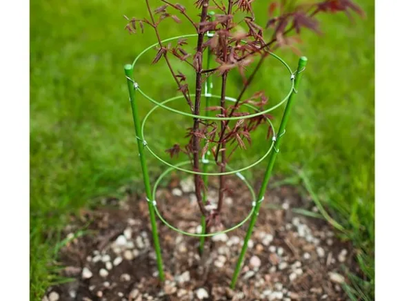 Planteunderstøttelse / Espalier - 60 cm