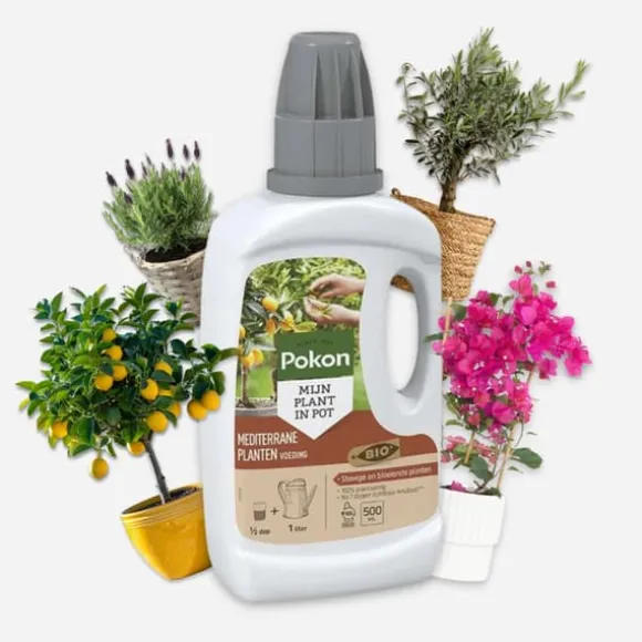 Pokon - flydende plantegødning Middelhavsplanter - 500 ml