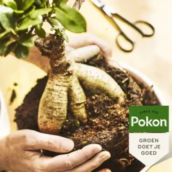 Pokon flydende plantefoder - Bonsai - 250ml