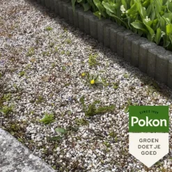 Pokon flydende ukrudtskoncentrat - 225ml