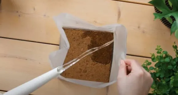 Pokon pottemuld Kompakt - Kokosjord - Hus og have - 50 liter
