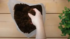 Pokon pottemuld Kompakt - Kokosjord - Hus og have - 50 liter