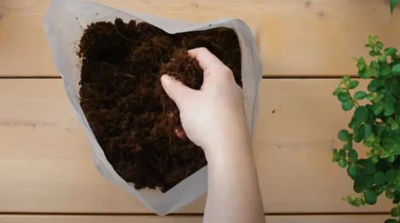 Pokon pottemuld Kompakt - Kokosjord - Hus og have - 50 liter