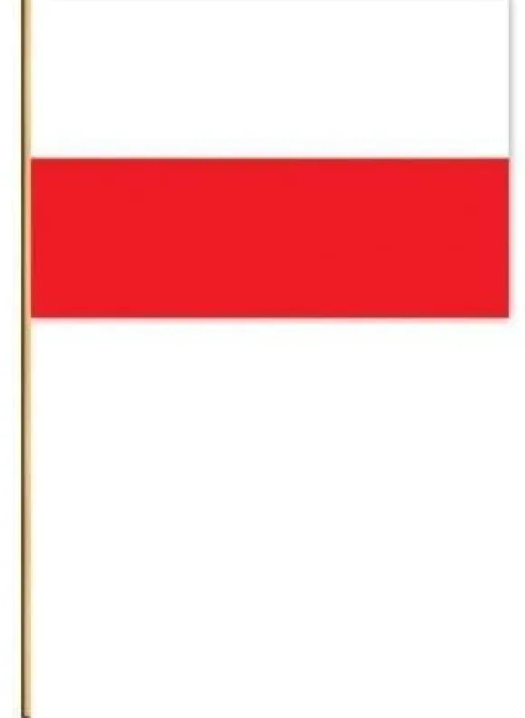 Polsk flag sæt med 20 stk