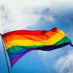 Pride flag / Regnebueflag