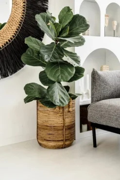 RATTAN KURV AZURE S