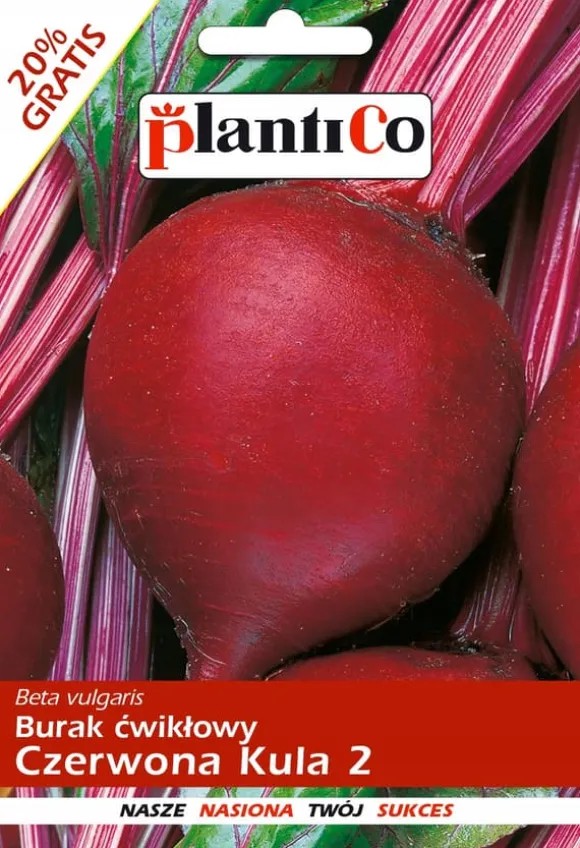 Rødbeder RED BALL 12 g PlantiCo frø