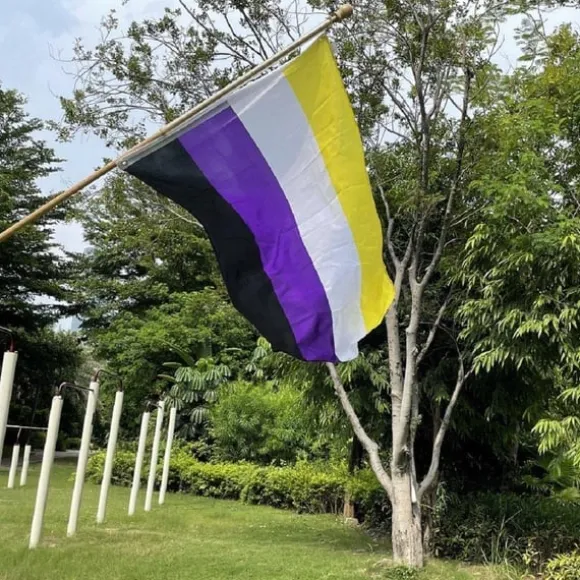 Regnbueflag - Vis din stolthed med dette farverige Prideflag