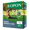 REKREATIONSGRÆS 1 KG - BR BIO-1112