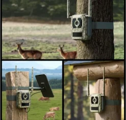 Reolink, 4K 4G Cellular Trail Camera med Live Streaming, Talon Series S130