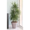 RIVIERA Loftblomkruka med vattenreserv - Rund - Ø 50 x H 46 cm - Taupe