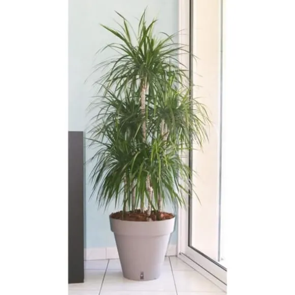 RIVIERA Loftblomkruka med vattenreserv - Rund - Ø 50 x H 46 cm - Taupe