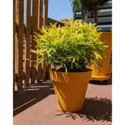 RIVIERA SOLEILLA rund blomlåda - Plast - Diameter 60 cm - Gul