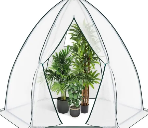 Rootz konisk drivhus - Havedrivhus - Plantehus - Vejrbestandig, holdbar struktur, Optimal ventilation - 240cm x 200cm x 240cm / 160cm x 180cm x 160cm | CDON