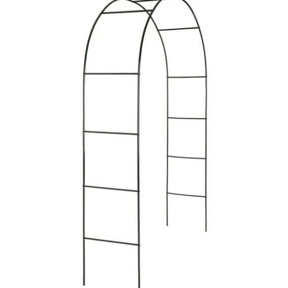 Rosenbue - grøn
