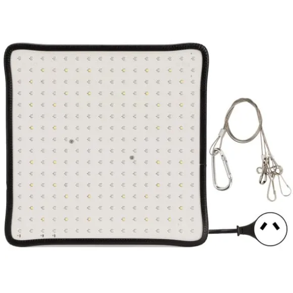 Scientific Control LED Grow Light 1000W til drivhus, lav varme, plantedyrkningslampe, AU-stik