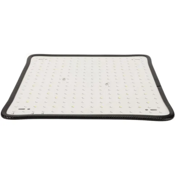 Scientific Control LED Grow Light 1000W til drivhus, lav varme, plantedyrkningslampe, AU-stik