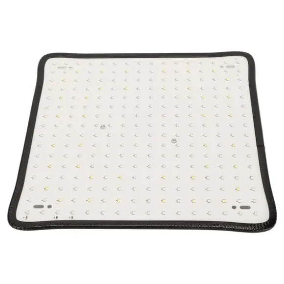 Scientific Control LED Grow Light 1000W til drivhus, lav varme, plantedyrkningslampe, AU-stik