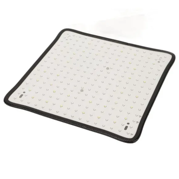 Scientific Control LED Grow Light 1000W til drivhus, lav varme, plantedyrkningslampe, AU-stik