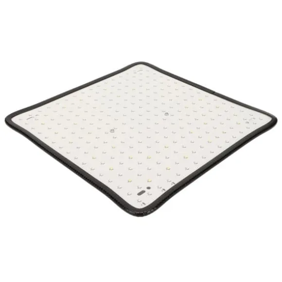 Scientific Control LED Grow Light 1000W til drivhus, lav varme, plantedyrkningslampe, AU-stik