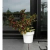 Self-watering flowerpot Garden ID White