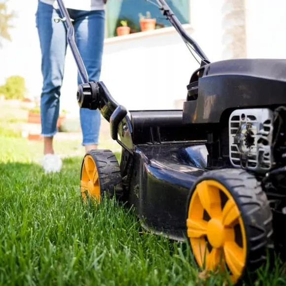 Selvgødende dekorativt græs med PREMIUM 10% mikrokløver Egarden 5kg