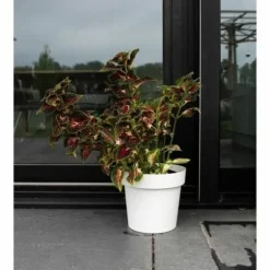 Selvvandende pot Garden ID Hvid