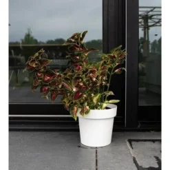 Selvvandende potte - GARDEN ID Glamour - Hvid 40 cm - Kornet overflade - Indendørs/udendørs - Elegant design.