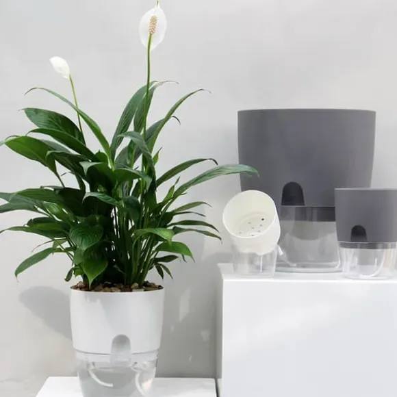 Självbevattningskruka Bomullsrep Plast Dekorativ planteringskruka för utomhusväxter inomhus Blommor Örter Vit 15,3 cm/6 tum Diameter