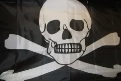 Skull flag