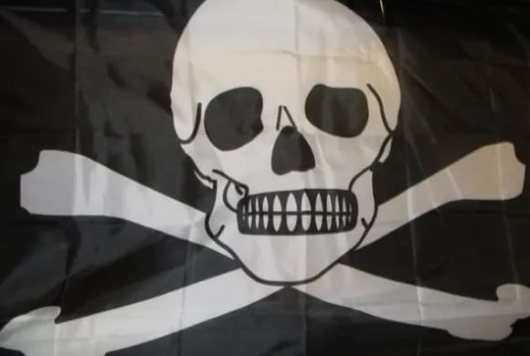 Skull flag