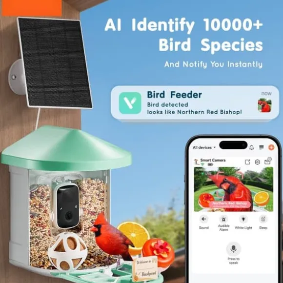Smart Fugleføder med 2K HD Kamera, AI Identifikation af Fuglearter, Automatisk Fangst, Perfekt til Fugleelskere.