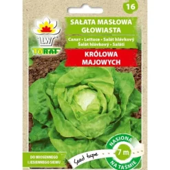 Smørhovedsalat MAJS DRONNING (7m tape)