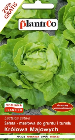 Smørhovedsalat MAY QUEEN 1,2 g. PlantiCo frø
